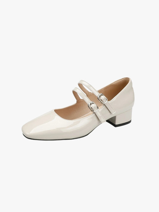Chunky Heel Mary Jane Women's Shoes Simple and Elegant Style